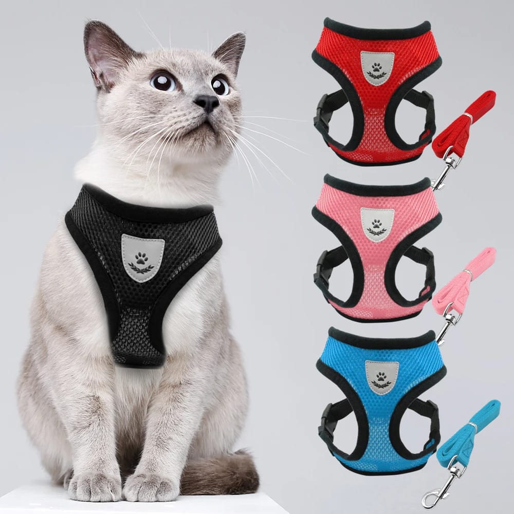 Cat harness jacket best sale